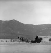 Pferdeschlitten (Positivo) di Foto Elisabeth Fuchs-Hauffen, Überlingen/Bodensee,Fuchs-Hauffen, Elisabeth (1970/03/01 - 1970/03/31)