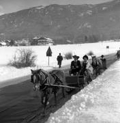 Pferdeschlitten (Positivo) di Foto Elisabeth Fuchs-Hauffen, Überlingen/Bodensee,Fuchs-Hauffen, Elisabeth (1970/03/01 - 1970/03/31)