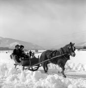 Pferdeschlitten (Positivo) di Foto Elisabeth Fuchs-Hauffen, Überlingen/Bodensee,Fuchs-Hauffen, Elisabeth (1970/03/01 - 1970/03/31)