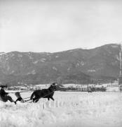 Pferdeschlitten (Positivo) di Foto Elisabeth Fuchs-Hauffen, Überlingen/Bodensee,Fuchs-Hauffen, Elisabeth (1970/03/01 - 1970/03/31)