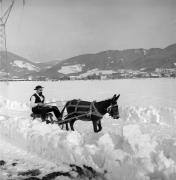 Pferdeschlitten (Positivo) di Foto Elisabeth Fuchs-Hauffen, Überlingen/Bodensee,Fuchs-Hauffen, Elisabeth (1970/03/01 - 1970/03/31)
