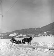 Pferdeschlitten (Positivo) di Foto Elisabeth Fuchs-Hauffen, Überlingen/Bodensee,Fuchs-Hauffen, Elisabeth (1970/03/01 - 1970/03/31)