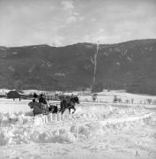 Pferdeschlitten (Positivo) di Foto Elisabeth Fuchs-Hauffen, Überlingen/Bodensee,Fuchs-Hauffen, Elisabeth (1970/03/01 - 1970/03/31)