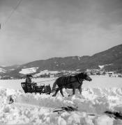Pferdeschlitten (Positivo) di Foto Elisabeth Fuchs-Hauffen, Überlingen/Bodensee,Fuchs-Hauffen, Elisabeth (1970/03/01 - 1970/03/31)