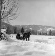 Pferdeschlitten (Positivo) di Foto Elisabeth Fuchs-Hauffen, Überlingen/Bodensee,Fuchs-Hauffen, Elisabeth (1970/03/01 - 1970/03/31)