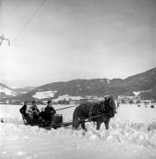 Pferdeschlitten (Positivo) di Foto Elisabeth Fuchs-Hauffen, Überlingen/Bodensee,Fuchs-Hauffen, Elisabeth (1970/03/01 - 1970/03/31)