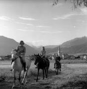 cavallo (Positivo) di Foto Elisabeth Fuchs-Hauffen, Überlingen/Bodensee,Fuchs-Hauffen, Elisabeth (1970/07/01 - 1970/07/31)