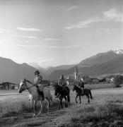 cavallo (Positivo) di Foto Elisabeth Fuchs-Hauffen, Überlingen/Bodensee,Fuchs-Hauffen, Elisabeth (1970/07/01 - 1970/07/31)