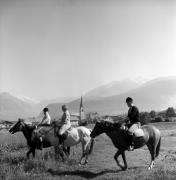 cavallo (Positivo) di Foto Elisabeth Fuchs-Hauffen, Überlingen/Bodensee,Fuchs-Hauffen, Elisabeth (1970/07/01 - 1970/07/31)