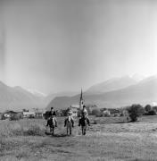 cavallo (Positivo) di Foto Elisabeth Fuchs-Hauffen, Überlingen/Bodensee,Fuchs-Hauffen, Elisabeth (1970/07/01 - 1970/07/31)