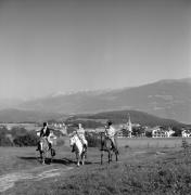 cavallo (Positivo) di Foto Elisabeth Fuchs-Hauffen, Überlingen/Bodensee,Fuchs-Hauffen, Elisabeth (1970/07/01 - 1970/07/31)