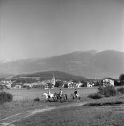 cavallo (Positivo) di Foto Elisabeth Fuchs-Hauffen, Überlingen/Bodensee,Fuchs-Hauffen, Elisabeth (1970/07/01 - 1970/07/31)