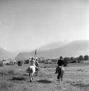 cavallo (Positivo) di Foto Elisabeth Fuchs-Hauffen, Überlingen/Bodensee,Fuchs-Hauffen, Elisabeth (1970/07/01 - 1970/07/31)