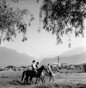 cavallo (Positivo) di Foto Elisabeth Fuchs-Hauffen, Überlingen/Bodensee,Fuchs-Hauffen, Elisabeth (1970/07/01 - 1970/07/31)