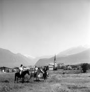 cavallo (Positivo) di Foto Elisabeth Fuchs-Hauffen, Überlingen/Bodensee,Fuchs-Hauffen, Elisabeth (1970/07/01 - 1970/07/31)