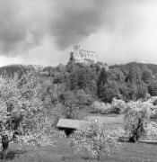 Schloß Michelsburg (St. Lorenzen) (Positivo) di Foto Elisabeth Fuchs-Hauffen, Überlingen/Bodensee,Fuchs-Hauffen, Elisabeth (1970/07/01 - 1970/07/31)