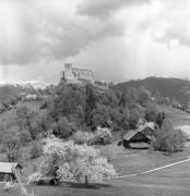 Schloß Michelsburg (St. Lorenzen) (Positivo) di Foto Elisabeth Fuchs-Hauffen, Überlingen/Bodensee,Fuchs-Hauffen, Elisabeth (1970/07/01 - 1970/07/31)