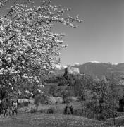 Schloß Michelsburg (St. Lorenzen) (Positivo) di Foto Elisabeth Fuchs-Hauffen, Überlingen/Bodensee,Fuchs-Hauffen, Elisabeth (1970/07/01 - 1970/07/31)