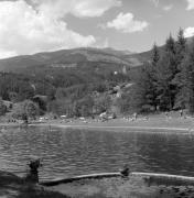 lago (Positivo) di Foto Elisabeth Fuchs-Hauffen, Überlingen/Bodensee,Fuchs-Hauffen, Elisabeth (1970/07/01 - 1970/07/31)