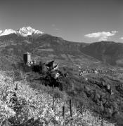 Schloss Tirol (Positivo) di Foto Elisabeth Fuchs-Hauffen, Überlingen/Bodensee,Fuchs-Hauffen, Elisabeth (1972/10/01 - 1972/10/31)