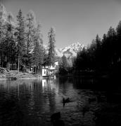 lago (Positivo) di Foto Elisabeth Fuchs-Hauffen, Überlingen/Bodensee,Fuchs-Hauffen, Elisabeth (1972/05/01 - 1972/05/31)