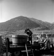 Bauer(in) / Landarbeiter(in) (Positivo) di Foto Elisabeth Fuchs-Hauffen, Überlingen/Bodensee,Fuchs-Hauffen, Elisabeth (1972/10/01 - 1972/10/31)