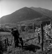 Bauer(in) / Landarbeiter(in) (Positivo) di Foto Elisabeth Fuchs-Hauffen, Überlingen/Bodensee,Fuchs-Hauffen, Elisabeth (1972/10/01 - 1972/10/31)