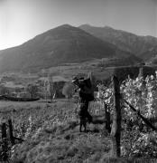 Bauer(in) / Landarbeiter(in) (Positivo) di Foto Elisabeth Fuchs-Hauffen, Überlingen/Bodensee,Fuchs-Hauffen, Elisabeth (1972/10/01 - 1972/10/31)