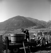 Bauer(in) / Landarbeiter(in) (Positivo) di Foto Elisabeth Fuchs-Hauffen, Überlingen/Bodensee,Fuchs-Hauffen, Elisabeth (1972/10/01 - 1972/10/31)