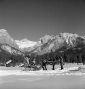 Pferdeschlitten (Positivo) di Foto Elisabeth Fuchs-Hauffen, Überlingen/Bodensee,Fuchs-Hauffen, Elisabeth (1973/02/01 - 1973/02/28)