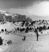 Skipisten (Positivo) di Foto Elisabeth Fuchs-Hauffen, Überlingen/Bodensee,Fuchs-Hauffen, Elisabeth (1973/02/01 - 1973/02/28)