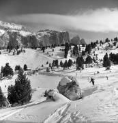 Skipisten (Positivo) di Foto Elisabeth Fuchs-Hauffen, Überlingen/Bodensee,Fuchs-Hauffen, Elisabeth (1973/02/01 - 1973/02/28)