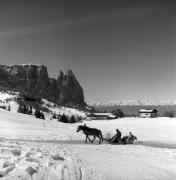 Pferdeschlitten (Positivo) di Foto Elisabeth Fuchs-Hauffen, Überlingen/Bodensee,Fuchs-Hauffen, Elisabeth (1973/02/01 - 1973/02/28)