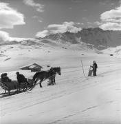 Pferdeschlitten (Positivo) di Foto Elisabeth Fuchs-Hauffen, Überlingen/Bodensee,Fuchs-Hauffen, Elisabeth (1973/02/01 - 1973/02/28)
