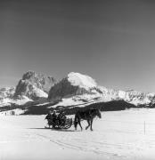 Pferdeschlitten (Positivo) di Foto Elisabeth Fuchs-Hauffen, Überlingen/Bodensee,Fuchs-Hauffen, Elisabeth (1973/02/01 - 1973/02/28)