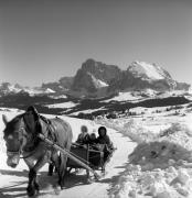 Pferdeschlitten (Positivo) di Foto Elisabeth Fuchs-Hauffen, Überlingen/Bodensee,Fuchs-Hauffen, Elisabeth (1973/02/01 - 1973/02/28)
