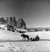 Pferdeschlitten (Positivo) di Foto Elisabeth Fuchs-Hauffen, Überlingen/Bodensee,Fuchs-Hauffen, Elisabeth (1973/02/01 - 1973/02/28)
