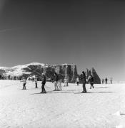 Skilehrer (Positivo) di Foto Elisabeth Fuchs-Hauffen, Überlingen/Bodensee,Fuchs-Hauffen, Elisabeth (1973/03/01 - 1973/03/31)