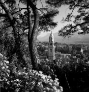 chiesa (Positivo) di Foto Elisabeth Fuchs-Hauffen, Überlingen/Bodensee,Fuchs-Hauffen, Elisabeth (1973/04/01 - 1973/04/43)