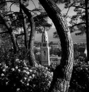 chiesa (Positivo) di Foto Elisabeth Fuchs-Hauffen, Überlingen/Bodensee,Fuchs-Hauffen, Elisabeth (1973/04/01 - 1973/04/43)