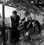 Bauer(in) / Landarbeiter(in) (Positivo) di Foto Elisabeth Fuchs-Hauffen, Überlingen/Bodensee,Fuchs-Hauffen, Elisabeth (1971/10/01 - 1971/10/31)