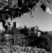 vigneto (Positivo) di Foto Elisabeth Fuchs-Hauffen, Überlingen/Bodensee,Fuchs-Hauffen, Elisabeth (1971/10/01 - 1971/10/31)