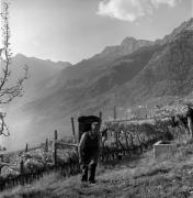 Bauer(in) / Landarbeiter(in) (Positivo) di Foto Elisabeth Fuchs-Hauffen, Überlingen/Bodensee,Fuchs-Hauffen, Elisabeth (1971/10/01 - 1971/10/31)