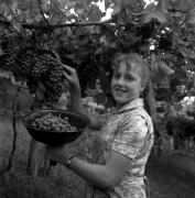 Bauer(in) / Landarbeiter(in) (Positivo) di Foto Elisabeth Fuchs-Hauffen, Überlingen/Bodensee,Fuchs-Hauffen, Elisabeth (1971/10/01 - 1971/10/31)