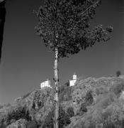 Schloß Reifenstein (Freienfeld) (Positivo) di Foto Elisabeth Fuchs-Hauffen, Überlingen/Bodensee,Fuchs-Hauffen, Elisabeth (1971/10/01 - 1971/10/31)