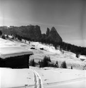 Langläufer (Positivo) di Foto Elisabeth Fuchs-Hauffen, Überlingen/Bodensee,Fuchs-Hauffen, Elisabeth (1978/02/01 - 1978/02/28)