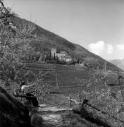 Schloß Thurnstein (Tirol) (Positivo) di Foto Elisabeth Fuchs-Hauffen, Überlingen/Bodensee,Fuchs-Hauffen, Elisabeth (1977/04/01 - 1977/04/43)