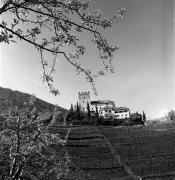 Schloß Thurnstein (Tirol) (Positivo) di Foto Elisabeth Fuchs-Hauffen, Überlingen/Bodensee,Fuchs-Hauffen, Elisabeth (1977/04/01 - 1977/04/43)