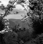 albergo (Positivo) di Foto Elisabeth Fuchs-Hauffen, Überlingen/Bodensee,Fuchs-Hauffen, Elisabeth (1977/04/01 - 1977/04/43)