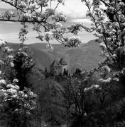 albergo (Positivo) di Foto Elisabeth Fuchs-Hauffen, Überlingen/Bodensee,Fuchs-Hauffen, Elisabeth (1977/04/01 - 1977/04/43)